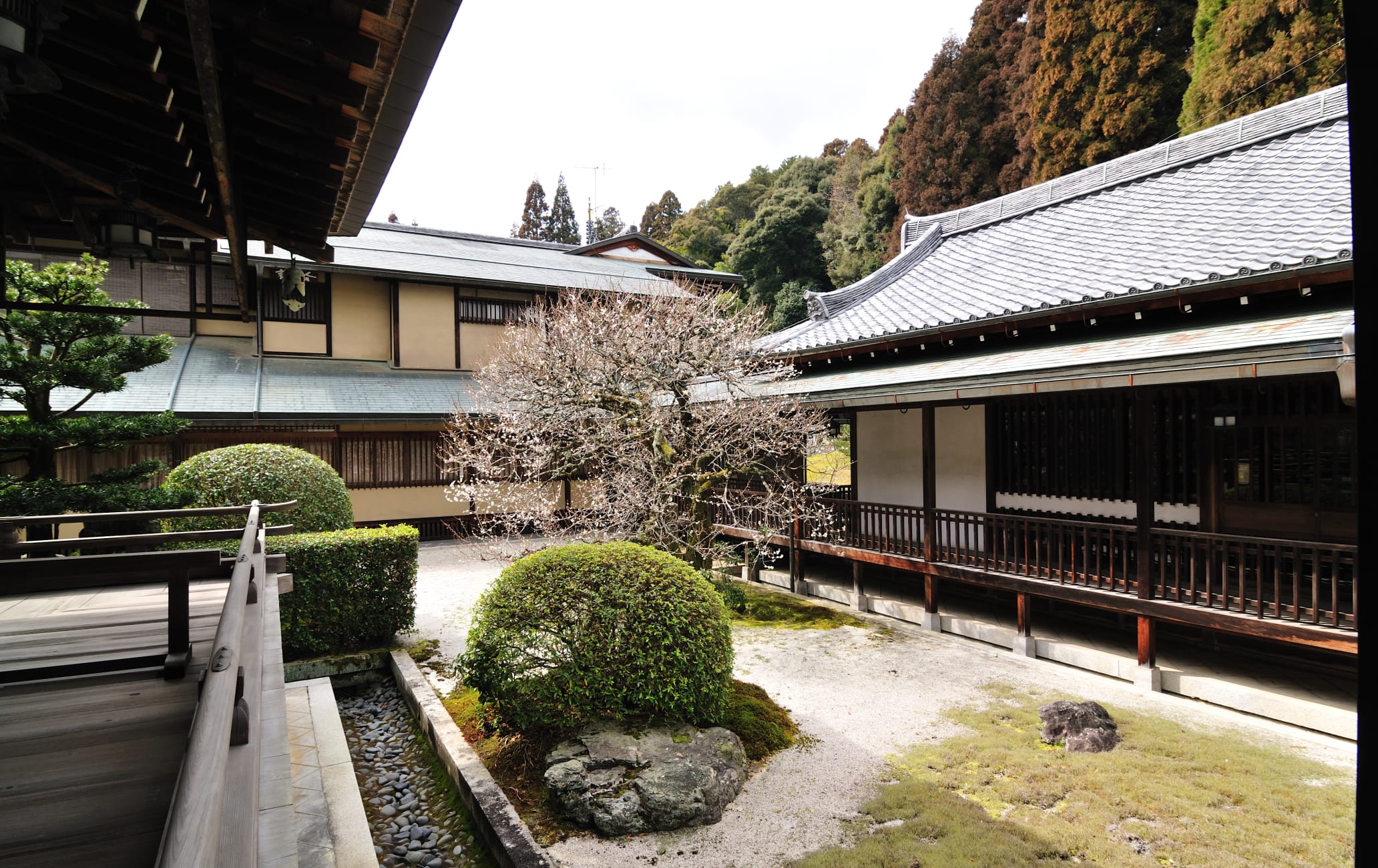 Храм Сайхо-дзи 